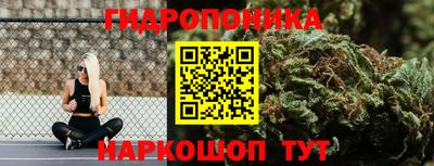 стаф Кунгур