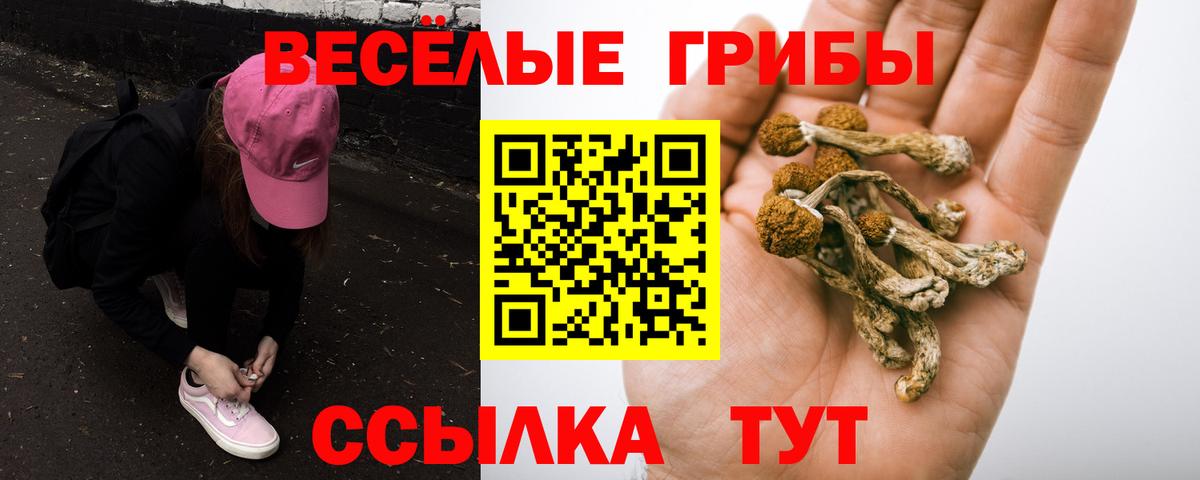 Псилоцибиновые грибы прущие грибы  Псилоцибиновые грибы GOLDEN TEACHER  Вход с VPN  Химки 